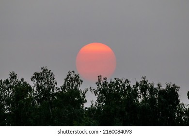 Orange Sun Setting Behind The Trees Isolated On Smoky Sky