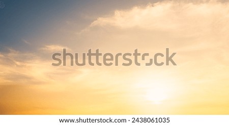 Similar – Image, Stock Photo early morning, summer morning. A lonely birch tree in beautiful morning light at the edge of a field