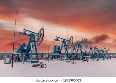 At the orange sunset dawn of the sky with clouds seven Oil pumpjack winter working. Oil rig energy industrial machine for petroleum in the sunset background for design. Nodding donkey