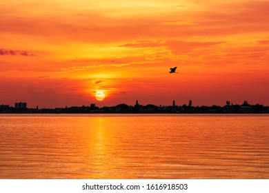 Orange Sunset In Siesta Key Beach