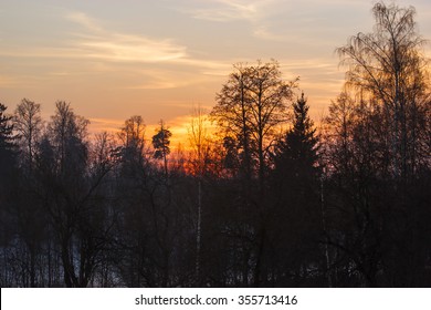 Orange sunset through trees in winter
