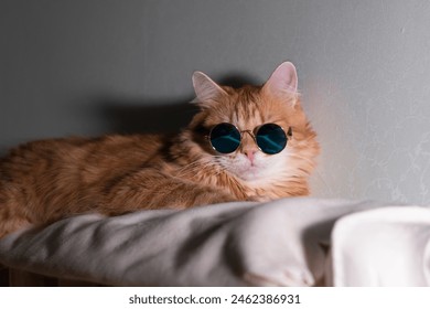 An orange tabby cat exudes coolness, lounging with a pair of stylish round sunglasses, bringing a whimsical charm to the scene. - Powered by Shutterstock