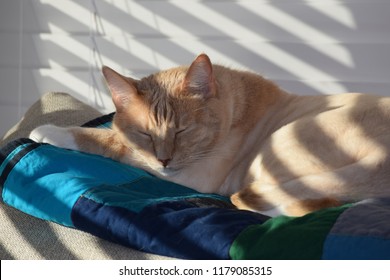 Royalty Free Taking Nap Stock Images Photos Vectors Shutterstock