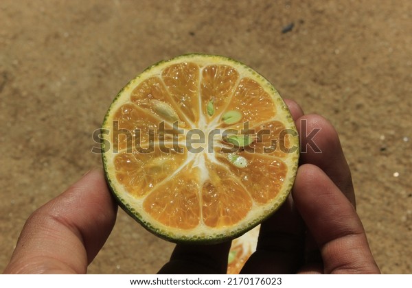 an orange that is split open looks like the seeds\
and pulp