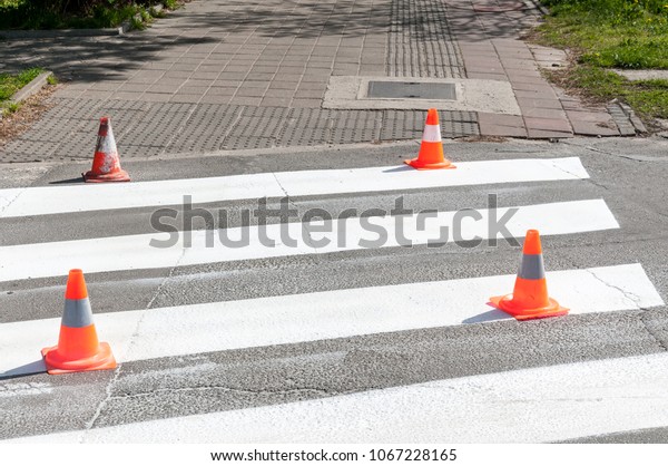 Orange traffic\
safety cones road barriers on the street protect fresh white paint\
on the pedestrian crosswalk\
