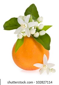 Orange tree flowers on a orange fruit isolated on white background