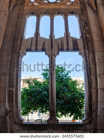 An orange tree framed by the stone tracery of a Gothic window, blending nature with architecture.

