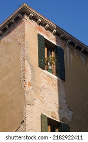 Orange Tree In A Window In Venice