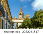 Orange trees with Giralda tower and Seville Cathedral in downtown Spain