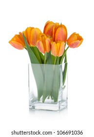 Orange tulips in flower bowl. Isolated on white background