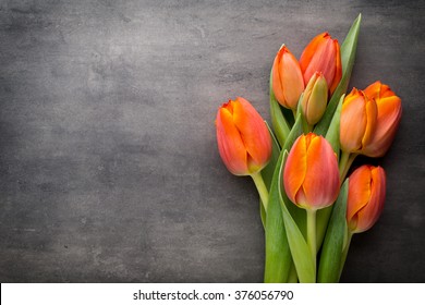 Orange tulips on the grey  background.