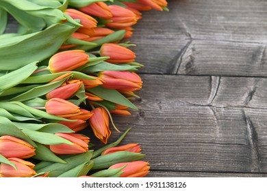 Orange Tulips Background Images Stock Photos Vectors Shutterstock