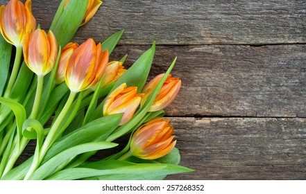 orange tulips on wooden surface Stock Photo