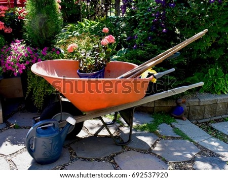 Orange Wheel Barrow and Tools with Pink Geranium and Blue Flower Pot