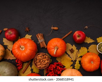 Orange Whole Pumpkins, Yellow Oak Leaves, Nuts, Berries, Fruits, Ripe Apples On Dark Black Table Background. Top View, Copy Space. Autumn Harvest, Fall Holidays, Thanksgiving, Seasonal Bounty.