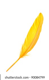 Orange  Wing Feather Isolated On White Background