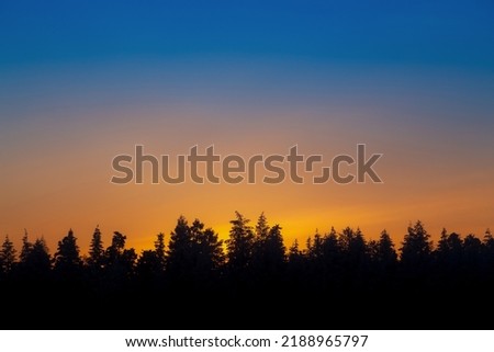 Orange-blue sky during sunset with silhouetted trees. Evening landscape with amazing colors