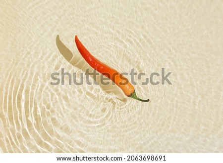 Orange-red fresh hot pepper floats in water. Gourmet hot spice background with reflections of sun and shadows. Organic healthy vegetable food. Hipster concept. Minimal flat lay. Capsaicin source idea.