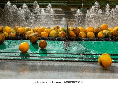 Oranges being washed and transported using water flow in a juice factory - stock photo - Powered by Shutterstock