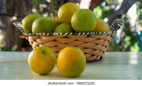 Oranges on an old white table with blurred nature in the background, natural light, selective focus.