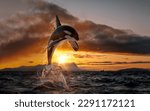 Orca leaping from sunset ocean water with splashes, Norway background, winter and snow on mountains in fjord