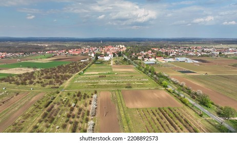 Orchard Plum Cherry Trees Prunus Domestica Lednice Mendel University Faculty Horticulture Village Bloomed Spring Garden Drone Aerial Above Blooming Farm Bio Organic Farming Orchard White Bloom