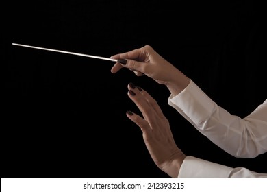 Orchestra Conductor Hands Baton. Music Female Director Holding Stick