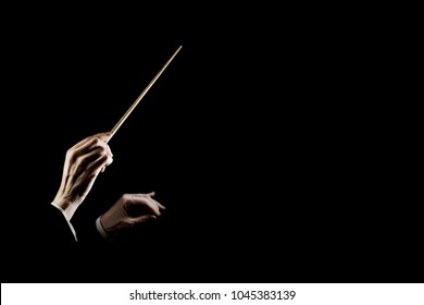 Orchestra Conductor Music Conducting. Hands Of Conductor With Baton Isolated On Black Background