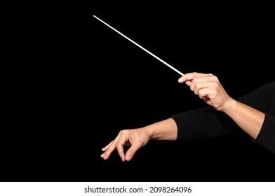 Orchestra Woman Conductor Music Conducting. Hands Of Conductor With Baton On Black Background