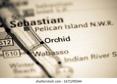 Orchid. Florida. USA on a map