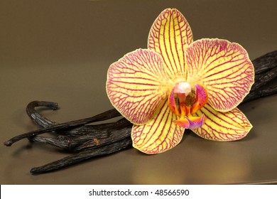 Orchid flower and vanilla beans on plate