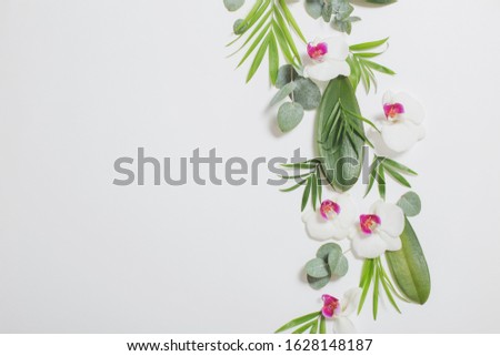 Similar – Tropical palm leaves and exotic flower frames