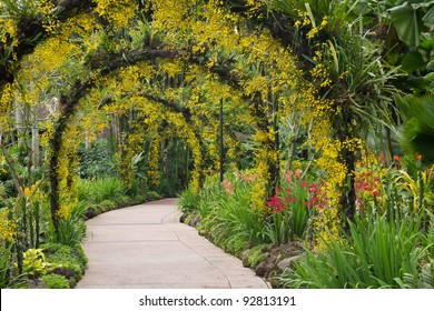 Orchid Garden, Singapore Botanic Garden