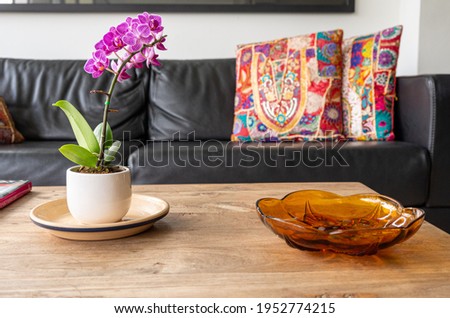 orchid in livingroom or waitingroom of spa