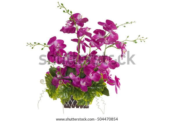 Orchid Plastic Flower Pink Color Basket Stock Photo Edit