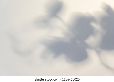 Orchid tropical flower branch shadow on beige textured paper background. Overlay effect for photo, cards, posters, stationary, wall art, design presentation. Copy space, close up view.