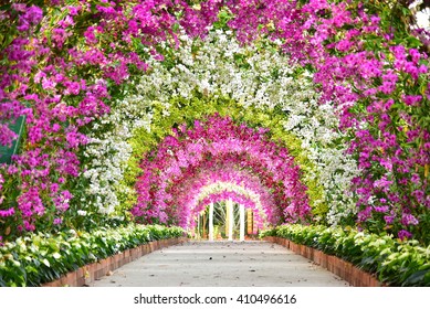 Orchid tunnel
