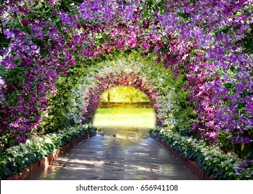 1,146 Orchid tunnel Images, Stock Photos & Vectors | Shutterstock