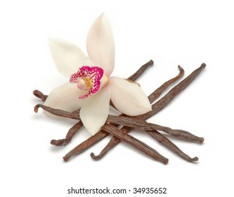 Orchid with vanilla beans on white background