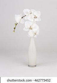 Orchids Vase Images Stock Photos Vectors Shutterstock