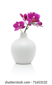 Orchid in white vase, isolated on white
