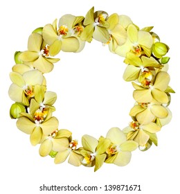 Orchid Yellow Wreath Isolated On White