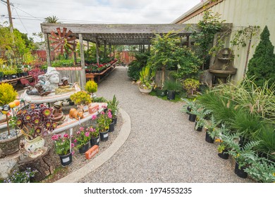 Orcutt, Santa Barbara County, California, May 15, 2021. Different types of trees, shrubs and flowers, flower pots, and decor for garden and outdoor patios in local nursery, Orcutt, California