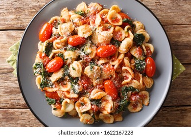 orecchiette pasta with spinach in tomato sauce sprinkled with parmesan closeup in a plate on a table. Horizontal top view from above