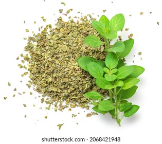 Oregano or marjoram herbs  isolated on white background. Fresh and dried oregano spice 