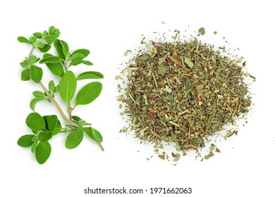 Oregano or marjoram leaves fresh and dry isolated on white background with clipping path. Top view. Flat lay