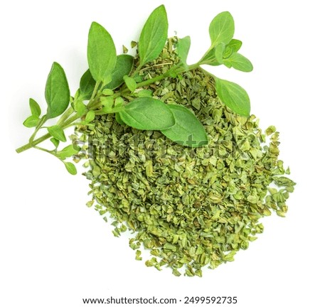 Oregano or Marjoram leaves fresh and dry isolated on white background. Sprig of  green oregano  top view. Flat lay