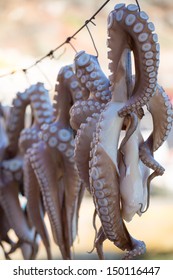 Oregano-rubbed octopus tentacles drying in the sun outside of seaside tavernas are a surprisingly common sight in Greece , traditional fishing in Greece,2013.