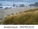 Oregon Coast in Autumn, sea stacks in light fog, Bandon, USA.