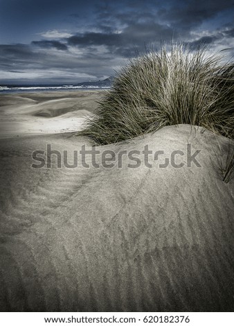 Similar – Landschaft mit Dünen auf der Insel Amrum